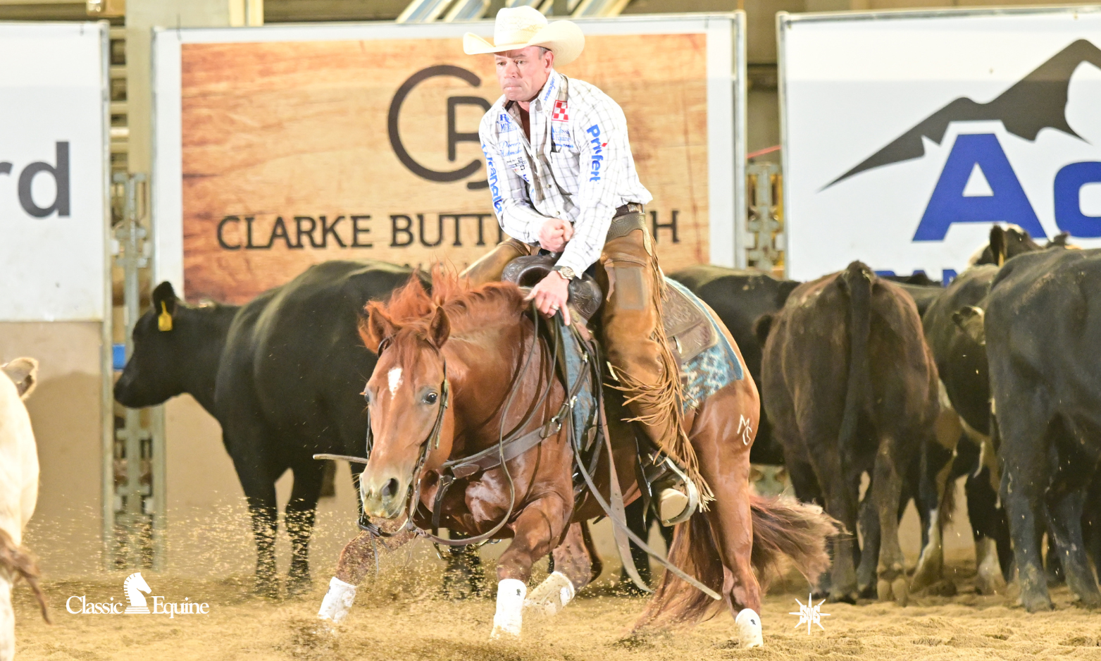 Matt Gaines, NCHA Hall of Fame Rider, wearing Classic Equine Legacy2 splint boots